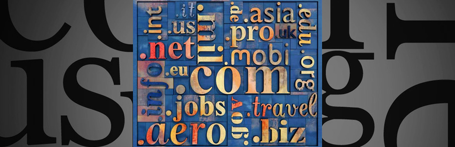 域名查詢(xún)地址注意問(wèn)題